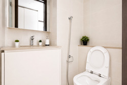 The Lilium (D19), Condominium #575303671